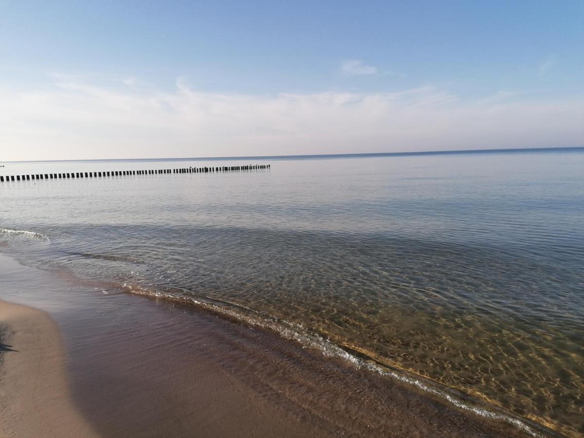 Apartament Alga Klifowa 里沃 外观 照片